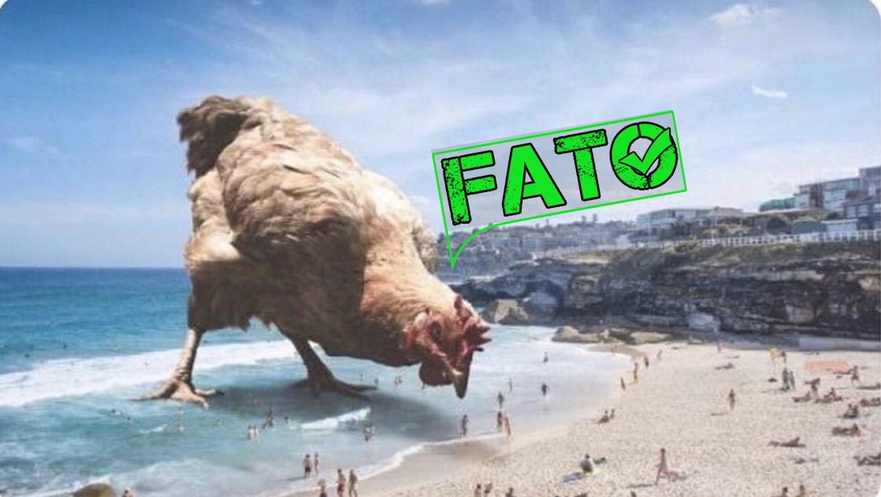 É #Fato imagem que mostra galinha gigante na Praia de Leste