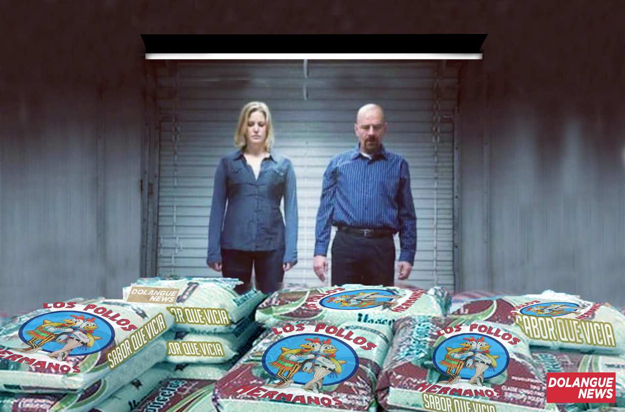 Preço justo! Casal de agricultores faz sucesso na web vendendo arroz azul