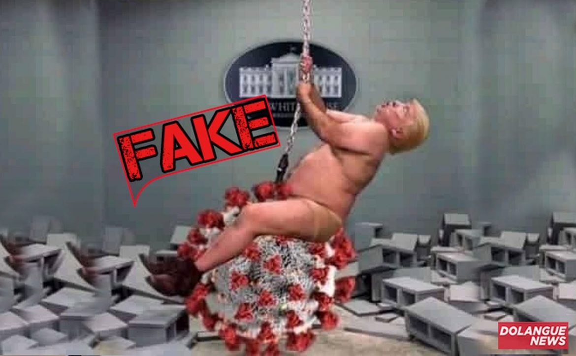 Imagem de Donald Trump montado no coronavírus é fake