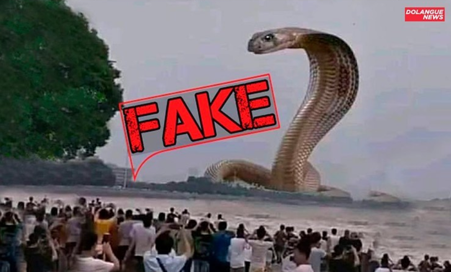 É #Fake imagem de cobra gigante atacando população em Piracicaba
